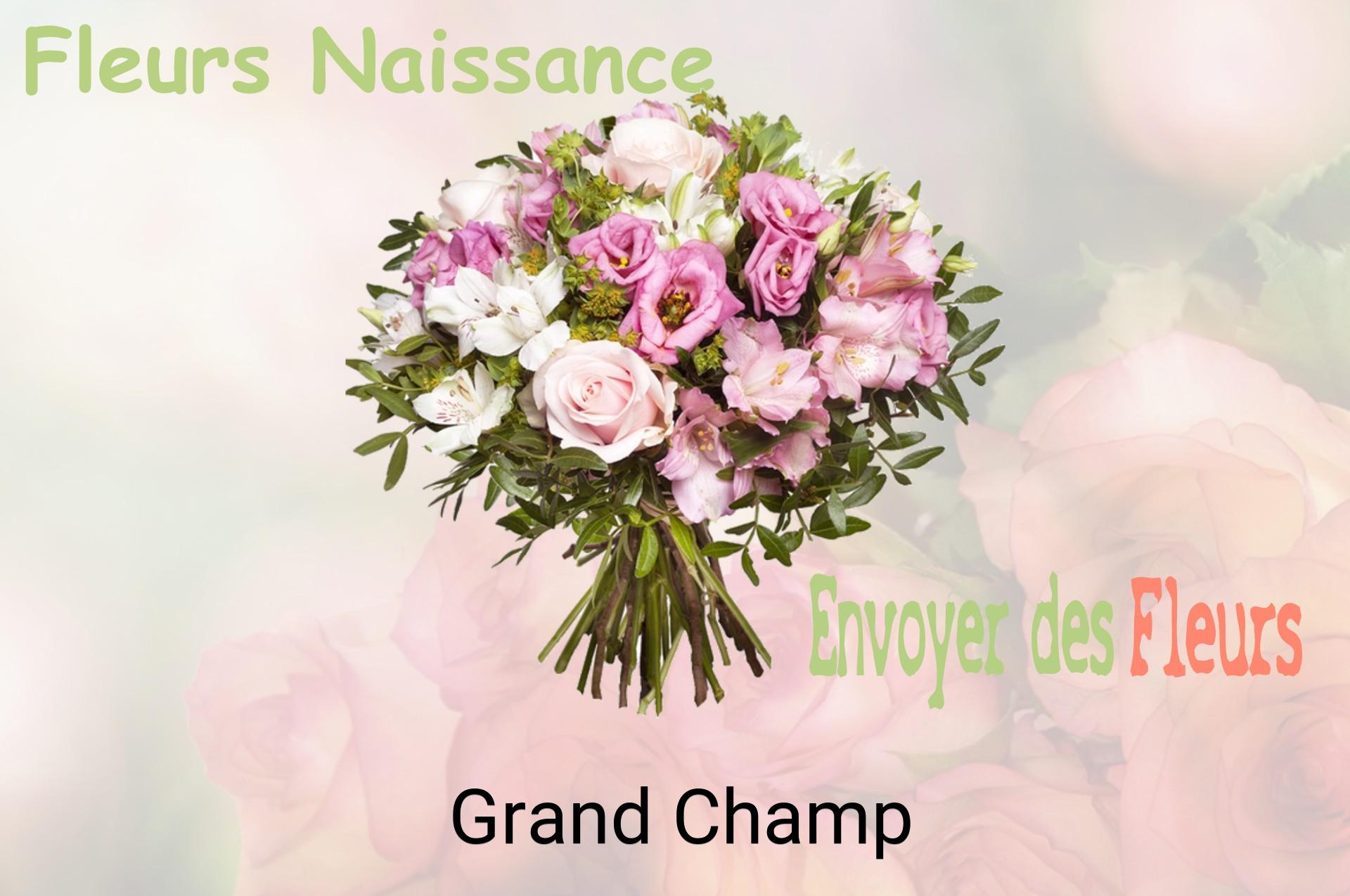 Bouquet de fleurs de naissance livré à Grand-Champ