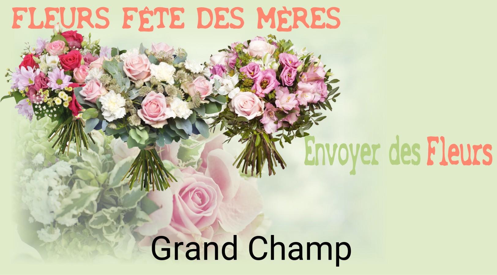 Bouquet de Fête des Mères livré à Grand-Champ